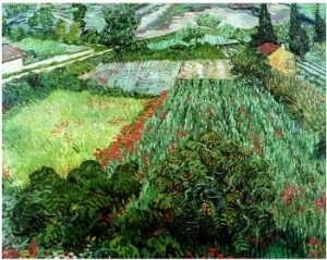Field of Poppies, Saint Remy, c.1889