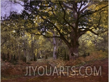Bodmer Oak, Fontainbleau Forest