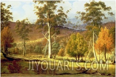 Natives in the Eucalypt Forest on Mills Plains, Patterdale Farm