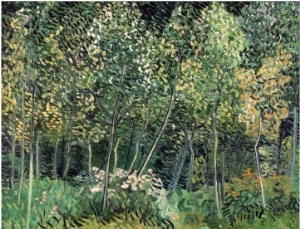 Small forest, July 1890