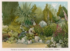 Portion of the Rockery at the Royal Horticultural Society