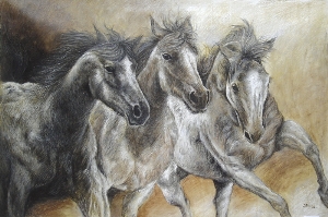 three white horses1