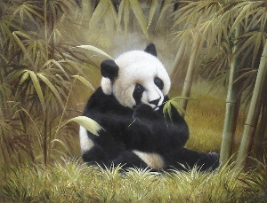 a panda feeding on banboo
