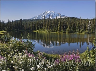 Reflection of Mountain and Trees in Lake, Mt Rainier National Park, Washington State, USA
