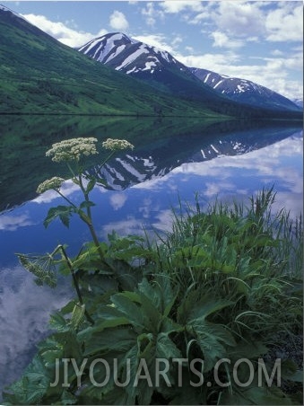 Summit Lake, Cow Parsnip, Lake and Mountains, Alaska