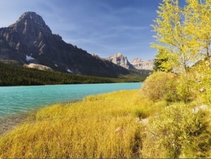 Waterfowl Lake and Mount Cephren, Banff National Park, Rocky Mountains, Canada