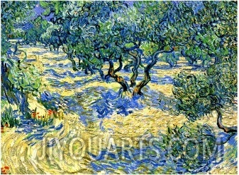 Olive Orchard, c.1889