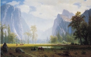 Looking Up the Yosemite Valley