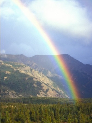 Rainbow over Forest, Alaska