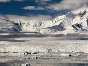 Gerlache Strait, Antarctic Peninsula, Antarctica, Polar Regions6