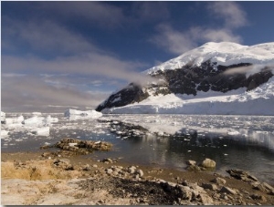 Neko Harbor, Gerlache Strait, Antarctic Peninsula, Antarctica, Polar Regions
