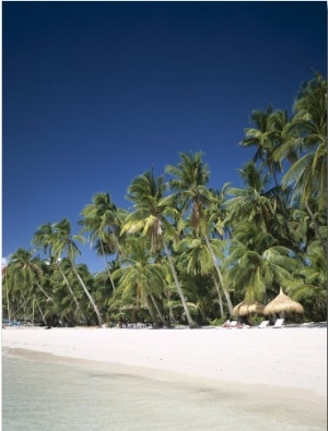 Boracay Beach, Palm Trees and Sand, Boracay Island, Philippines