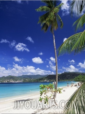 Grand Anse Beach, Grenada, Windward Islands, West Indies, Caribbean, Central America1
