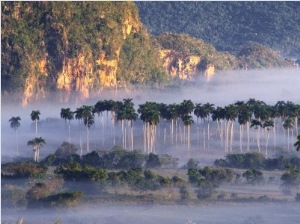 Morning Mist Over Vinales Valley, Pinar Del Rio, Cuba
