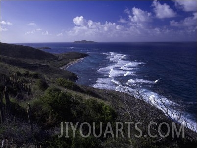 Point Seascape at Point Udall, St. Croix