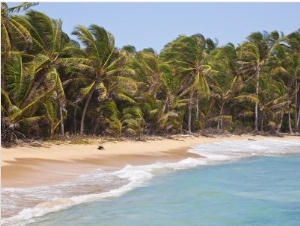 Beach Near Garret Point, Little Corn Island, Corn Islands, Nicaragua, Central America