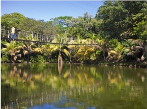 Gumba Limba Park, Roatan, Bay Islands, Honduras, Central America