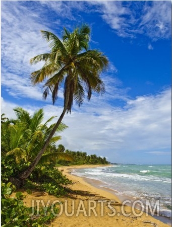 Tres Palmitas Beach, Puerto Rico, West Indies, Caribbean, Central America1