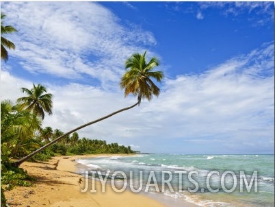 Tres Palmitas Beach, Puerto Rico, West Indies, Caribbean, Central America2