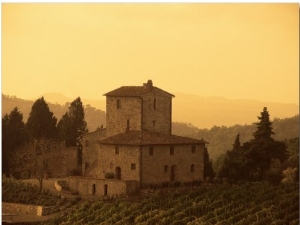 Farms and Vines, Tuscany, Italy