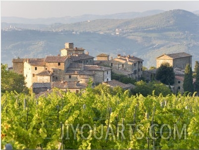 Vineyard and Village, Volpaia, Tuscany, Italy