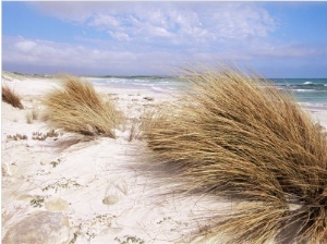 Bales Beach, Seal Bay Con. Park, Kangaroo Island, South Australia, Australia