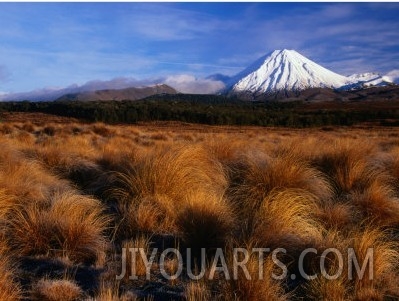 Mt. Ngauruhoe Through Grassy Landscape, Tongariro National Park, Manawatu Wanganui, New Zealand