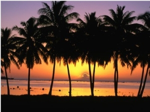 Palm Trees at Sunset, Cook Islands