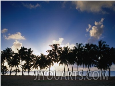 Sun Setting Behind Palm Tree Lined Shore of West Coast, Cook Islands