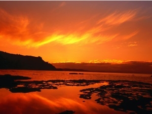 Sunset Over Beach on Goat Island, New Zealand
