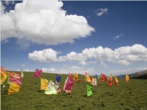 Tibetan Prayer Flags in a Field, Qinghai, China