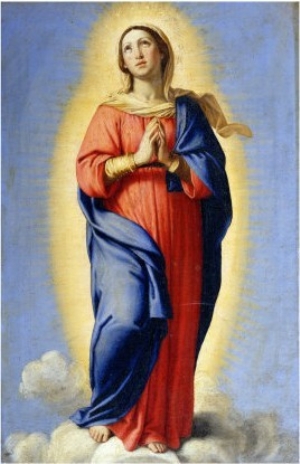 The Immaculate Conception1