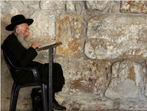 An Elderly Ultra Orthodox Jew Prays at the Western Wall Plaza