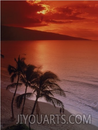 Aerial of Tropical Beach at Sunset, Maui, HI