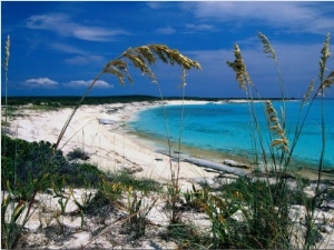 Beach View Through Native Grasses, Conception Island, San Salvador & Rum Cay, Bahamas
