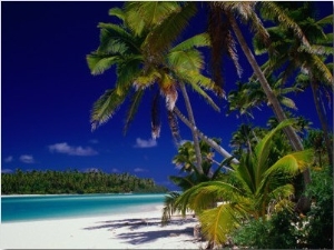 Beach with Palm Trees on Island in Aitutaki Lagoon,Aitutaki,Southern Group, Cook Islands
