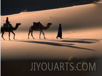 Camel Caravan Crossing Dunes, Erg Chebbi Desert, Morocco