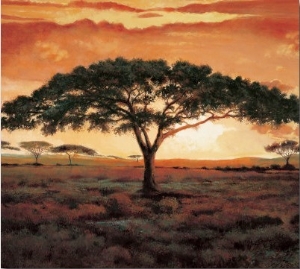 Masai Tree