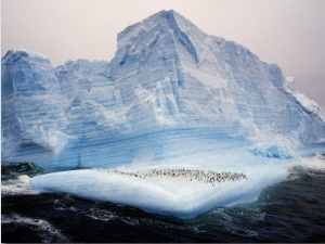 antarctic paintings