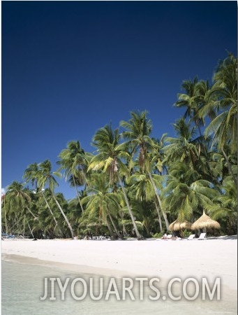 Boracay Beach, Palm Trees and Sand, Boracay Island, Philippines