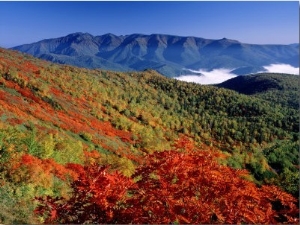 Mt. Daisetsu in Autumn