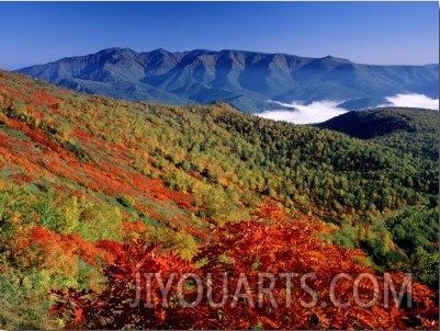 Mt. Daisetsu in Autumn