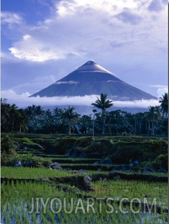 Mt. Mayon, One of the Most Dangerous Volcanoes in the World, Above Rice Paddys, Albay, Philippines