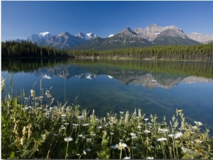 Bow Mountain Range and Herbert Lake, Banff National Park, Alberta, Canada