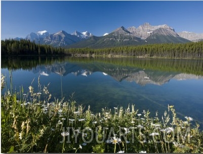Bow Mountain Range and Herbert Lake, Banff National Park, Alberta, Canada