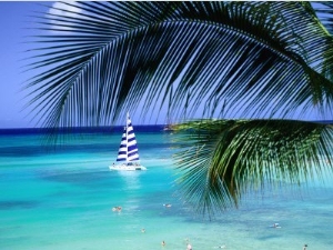 Palm Tree, Swimmers and a Boat at the Beach, Waikiki, U.S.A.