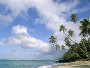 Palm Trees and Sea, Lalomanu Beach, Upolu Island, Western Samoa
