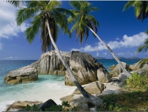 A Beach and Palm Trees on La Digue Island