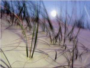 A View of a Full Moon Rising Above a Sand Dune
