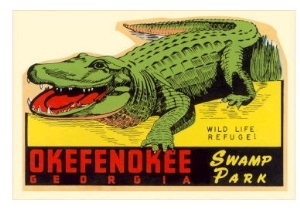 Gator from Okefenokee Swamp Park